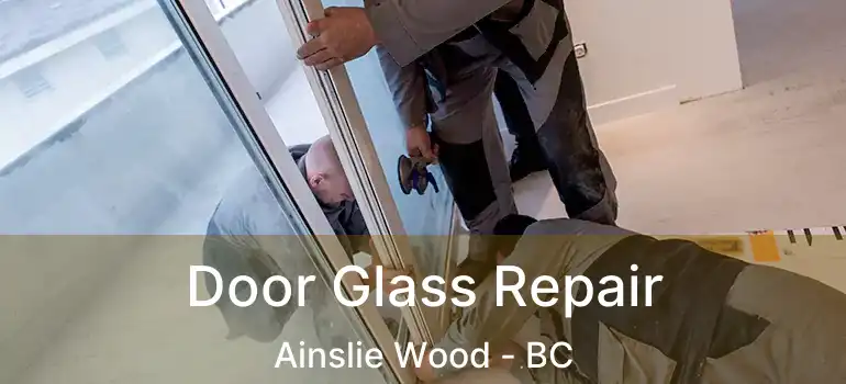  Door Glass Repair Ainslie Wood - BC