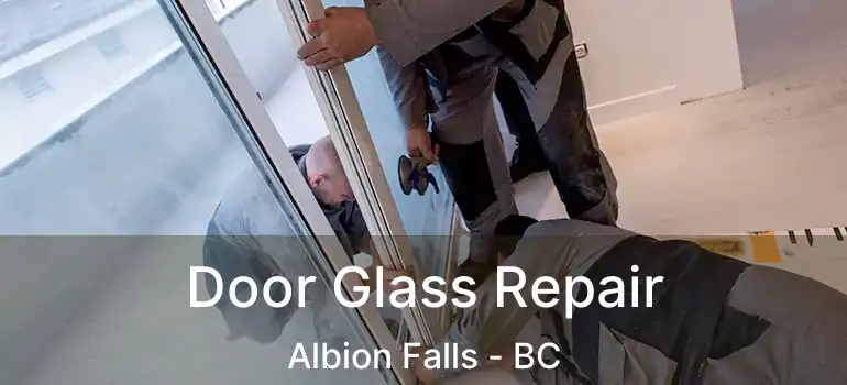  Door Glass Repair Albion Falls - BC