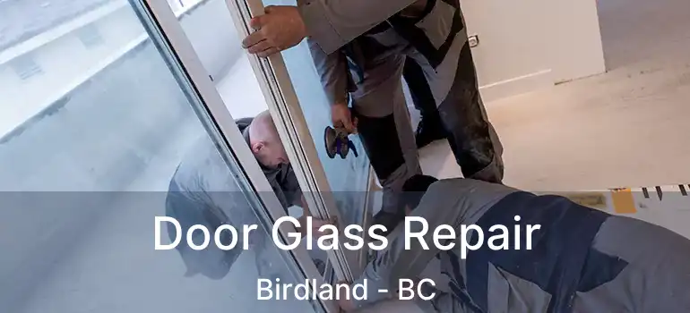  Door Glass Repair Birdland - BC