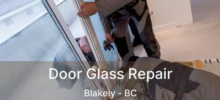  Door Glass Repair Blakely - BC