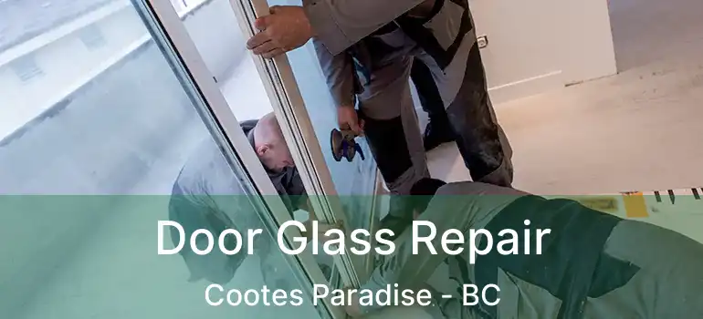  Door Glass Repair Cootes Paradise - BC