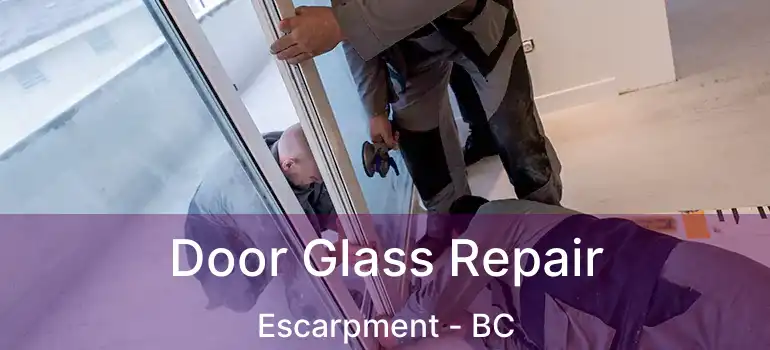  Door Glass Repair Escarpment - BC