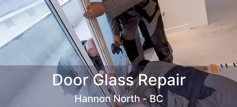  Door Glass Repair Hannon North - BC
