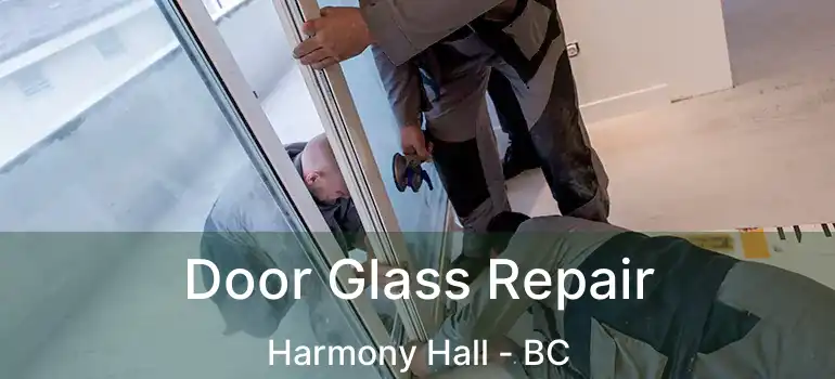  Door Glass Repair Harmony Hall - BC