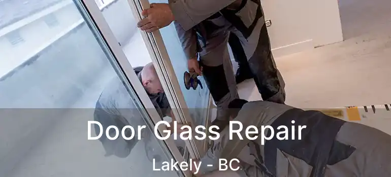  Door Glass Repair Lakely - BC