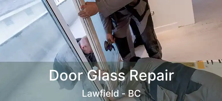  Door Glass Repair Lawfield - BC