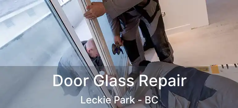  Door Glass Repair Leckie Park - BC