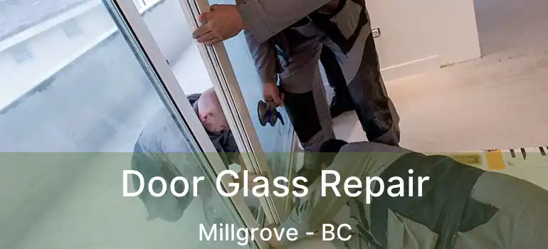  Door Glass Repair Millgrove - BC