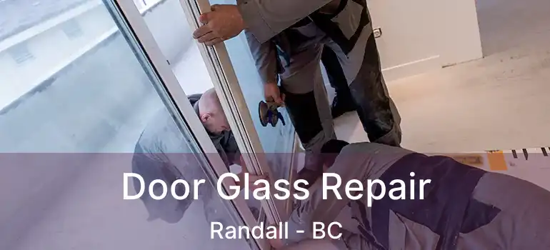  Door Glass Repair Randall - BC