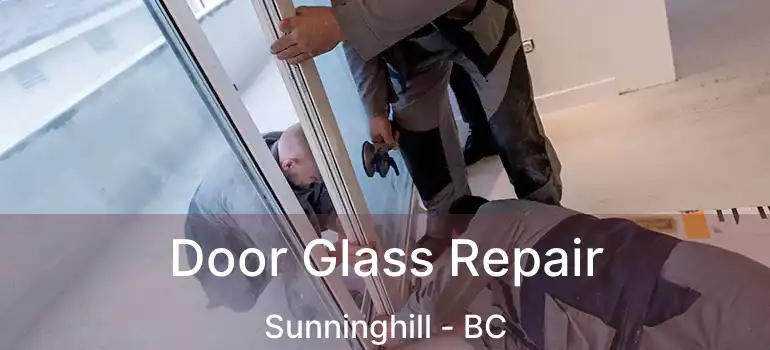  Door Glass Repair Sunninghill - BC