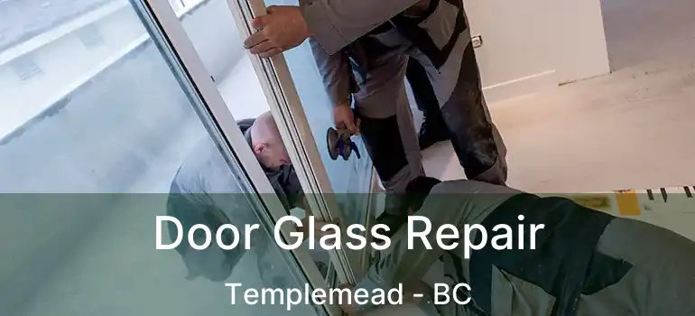  Door Glass Repair Templemead - BC