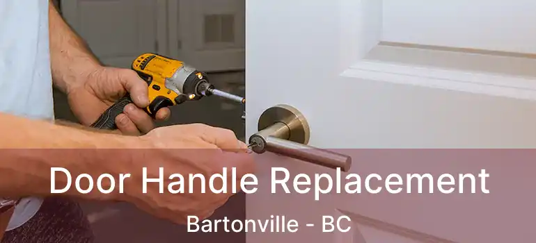  Door Handle Replacement Bartonville - BC