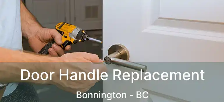  Door Handle Replacement Bonnington - BC