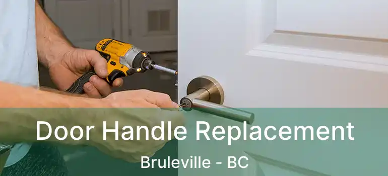  Door Handle Replacement Bruleville - BC