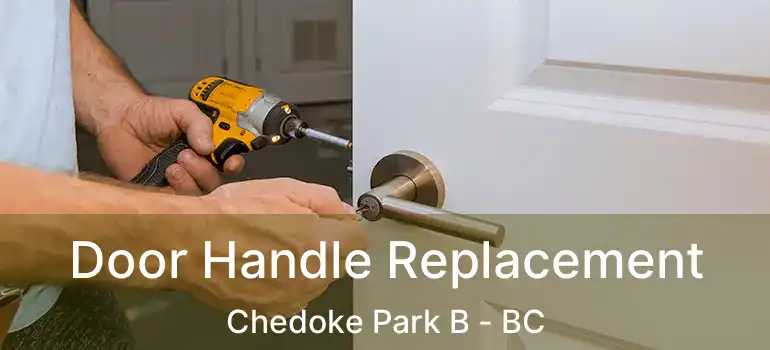  Door Handle Replacement Chedoke Park B - BC