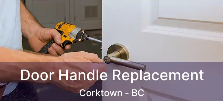  Door Handle Replacement Corktown - BC