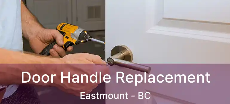  Door Handle Replacement Eastmount - BC