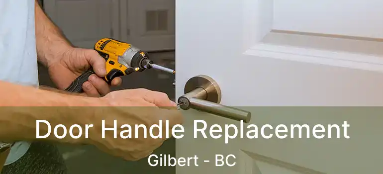  Door Handle Replacement Gilbert - BC