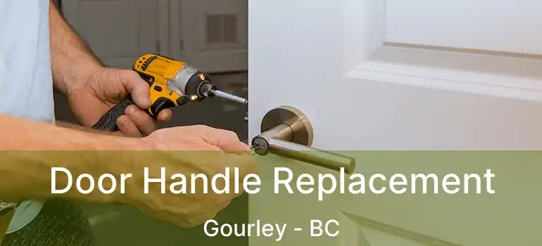  Door Handle Replacement Gourley - BC