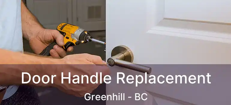  Door Handle Replacement Greenhill - BC
