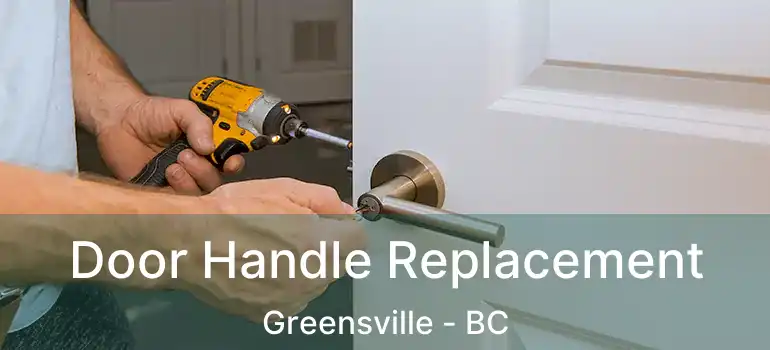  Door Handle Replacement Greensville - BC