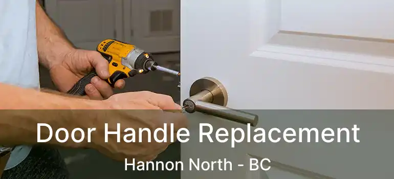  Door Handle Replacement Hannon North - BC
