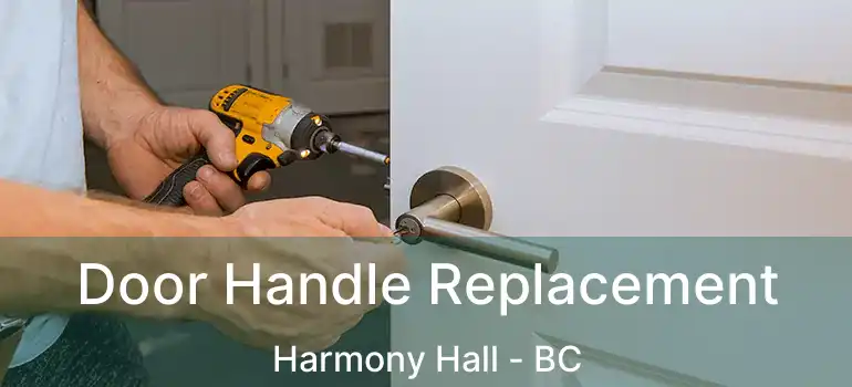  Door Handle Replacement Harmony Hall - BC