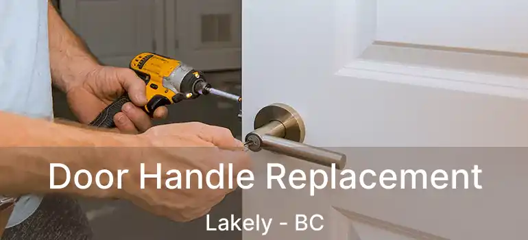  Door Handle Replacement Lakely - BC