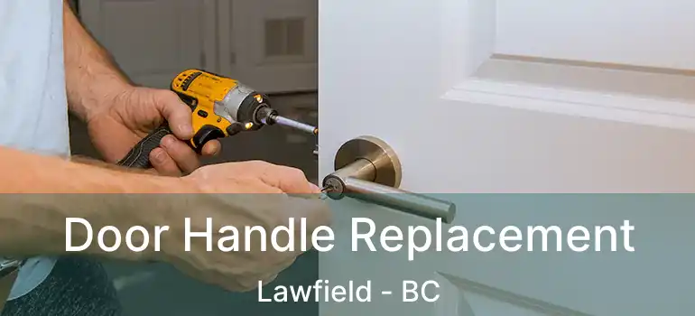  Door Handle Replacement Lawfield - BC