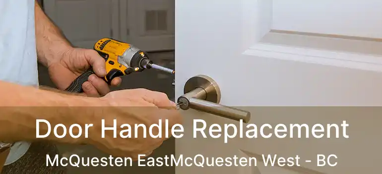  Door Handle Replacement McQuesten EastMcQuesten West - BC