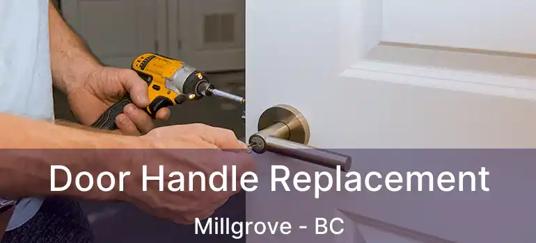 Door Handle Replacement Millgrove - BC