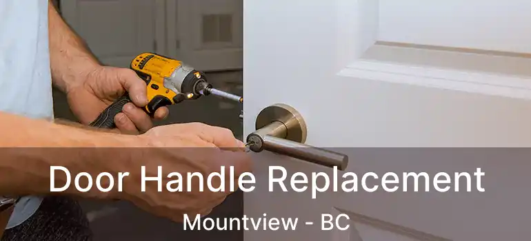  Door Handle Replacement Mountview - BC