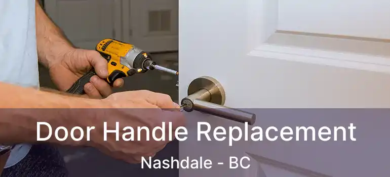  Door Handle Replacement Nashdale - BC