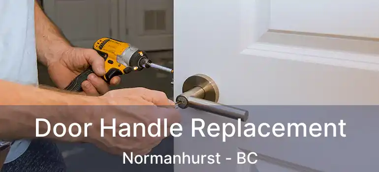  Door Handle Replacement Normanhurst - BC
