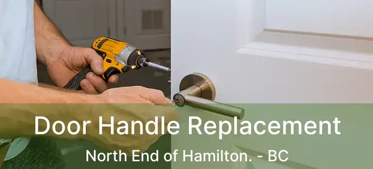  Door Handle Replacement North End of Hamilton. - BC