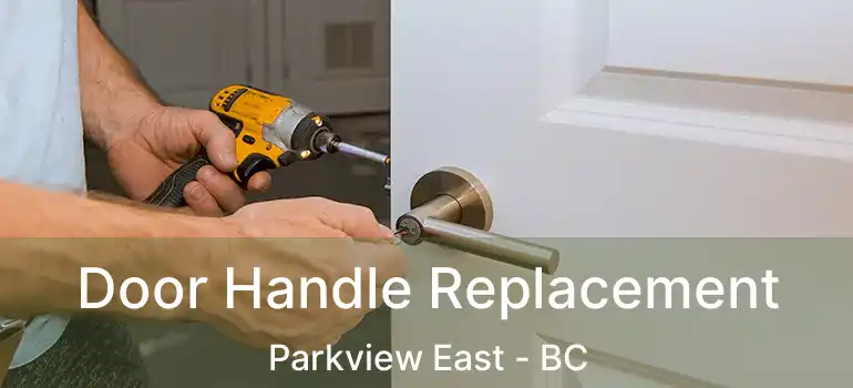  Door Handle Replacement Parkview East - BC