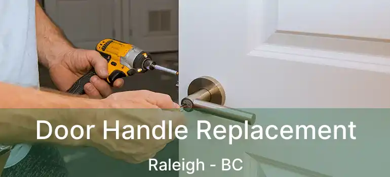  Door Handle Replacement Raleigh - BC