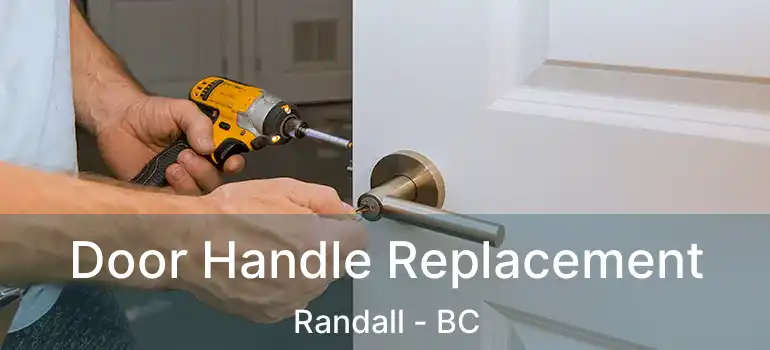  Door Handle Replacement Randall - BC