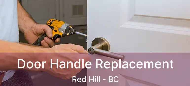  Door Handle Replacement Red Hill - BC