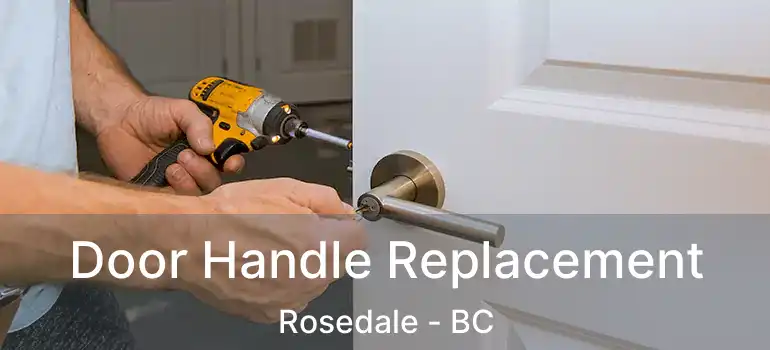  Door Handle Replacement Rosedale - BC