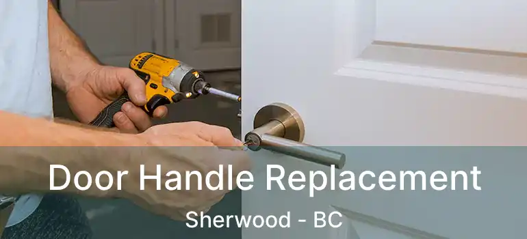  Door Handle Replacement Sherwood - BC