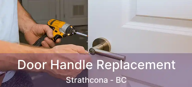  Door Handle Replacement Strathcona - BC