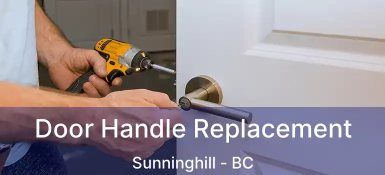  Door Handle Replacement Sunninghill - BC