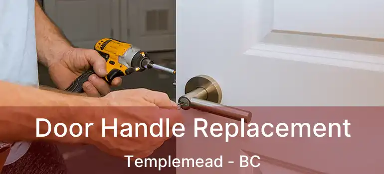  Door Handle Replacement Templemead - BC