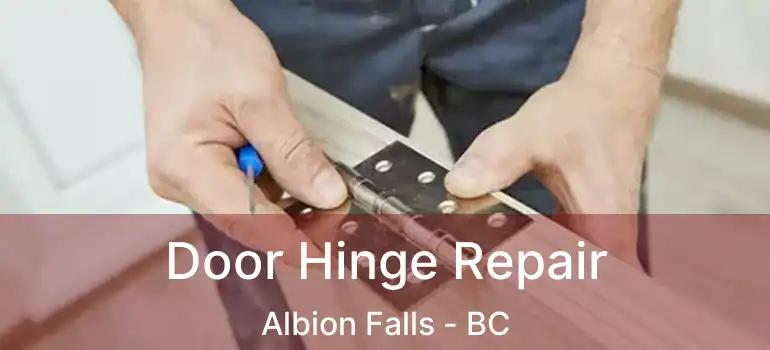  Door Hinge Repair Albion Falls - BC