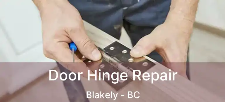  Door Hinge Repair Blakely - BC