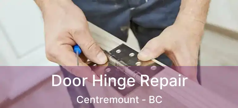  Door Hinge Repair Centremount - BC