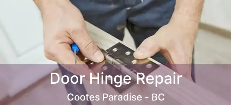 Door Hinge Repair Cootes Paradise - BC