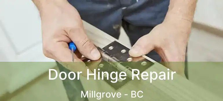  Door Hinge Repair Millgrove - BC
