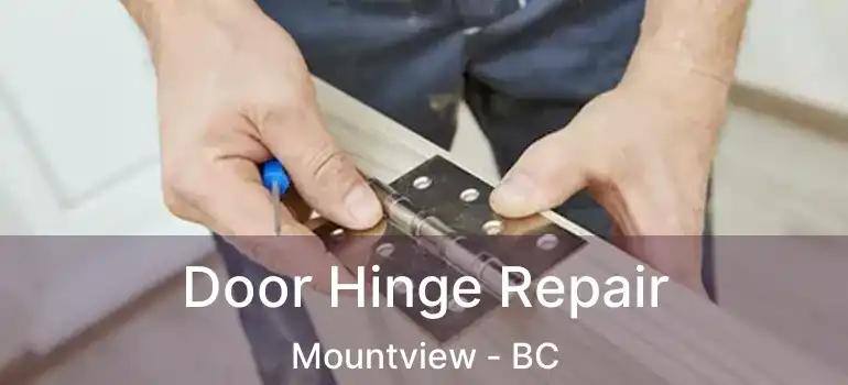  Door Hinge Repair Mountview - BC